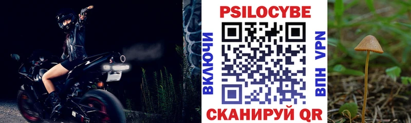 KRAKEN как зайти Мещовск Галлюциногенные грибы Magic Shrooms